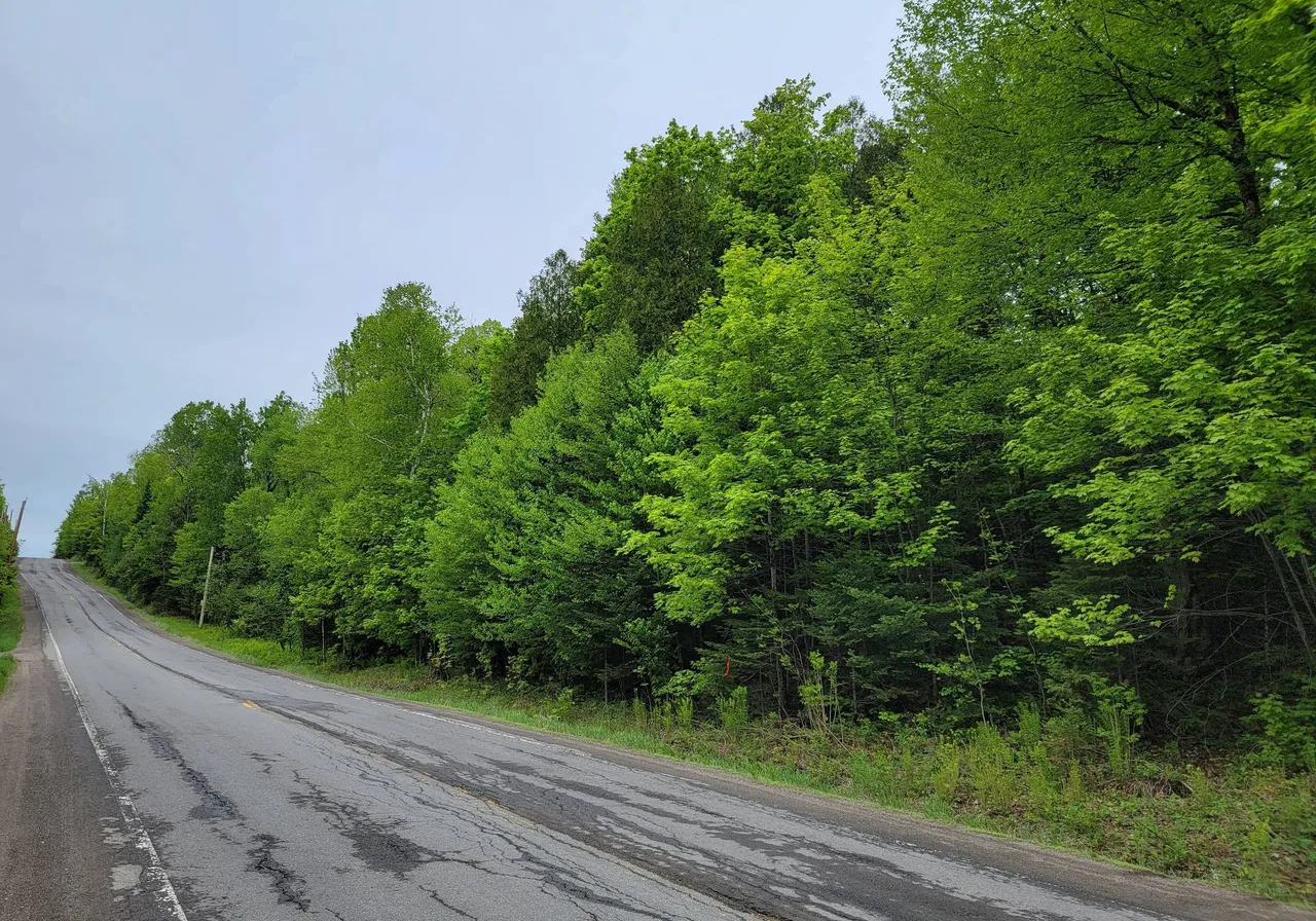 Terrain à vendre -  Route 327, Harrington, J8G 2T1
