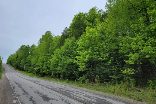 Terrain à vendre -  Route 327, Harrington, J8G2T1