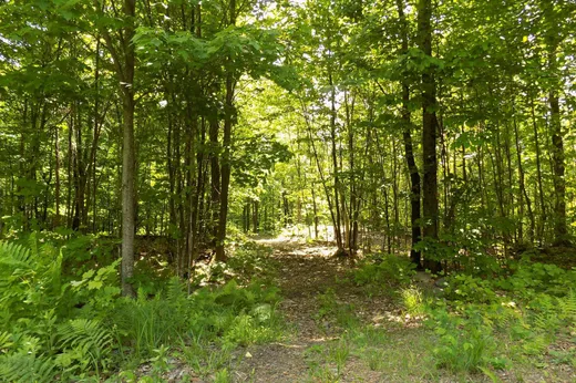 Land for Sale -  Ch. Shangrila, Harrington, J8G 2T1