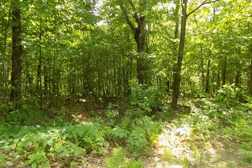 Terrain à vendre -  Ch. Shangrila, Harrington, J8G 2T1