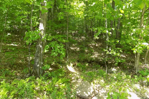 Terrain à vendre - 22Z Ch. Shangrila, Harrington, J8G 2T1
