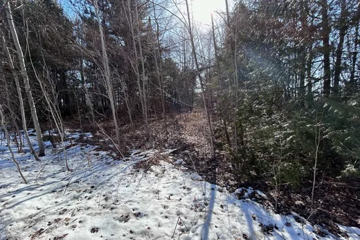 Terrain à vendre -  Mtée Mercier, St-Jean-Chrysostome, J0S 1R0