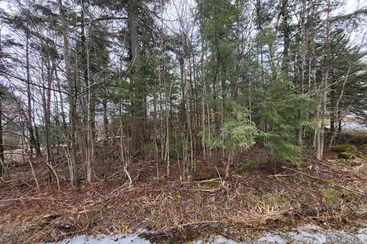 Land for Sale -  Rue de l'Étourneau, Magog, J1X 0M6