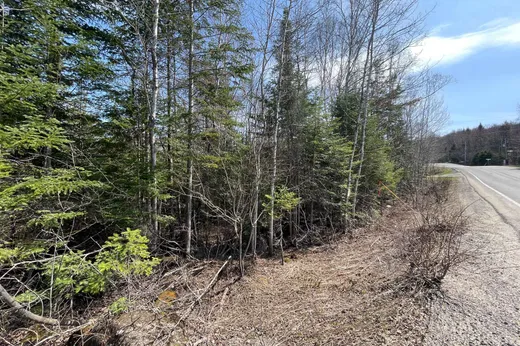 Land for Sale -  Mtée Ste-Marie, St-Adolphe d'Howard, J0T 2B0