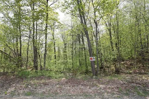 Terrain à vendre -  Rue des Cimes, Sainte-Marguerite-du-Lac-Masson, J0T1L0