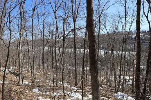 Land for Sale -  Rue du Lac-Clair, Sainte-Marguerite-du-Lac-Masson, J0T 1L0