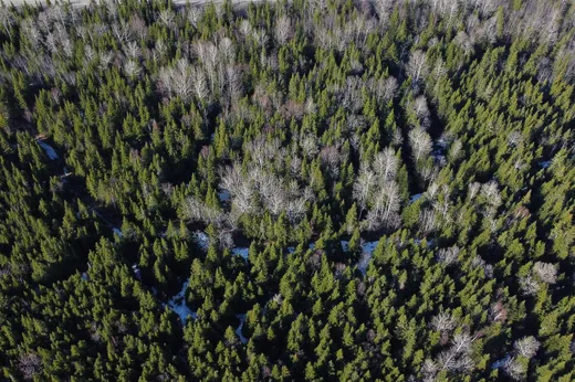 Land for sale - 48 Rue Principale, Saint-Francois-Xavier-de-Viger, G0L3C0