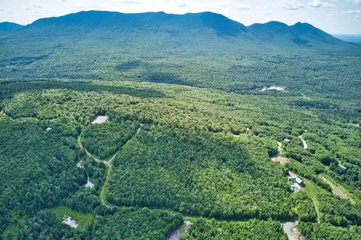 Terrain à vendre - Ch. de la Fo Ch. de la Forêt-Enchantée, Lac-Mégantic, G0Y 1E1