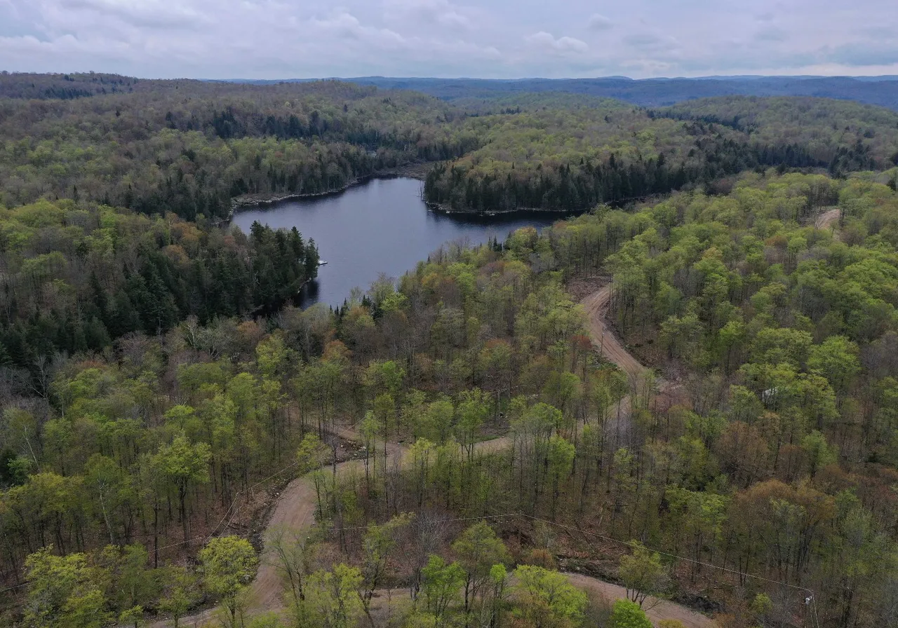 Terrain à vendre -  Rue de la Musarde, Wentworth, J0T 1Y0