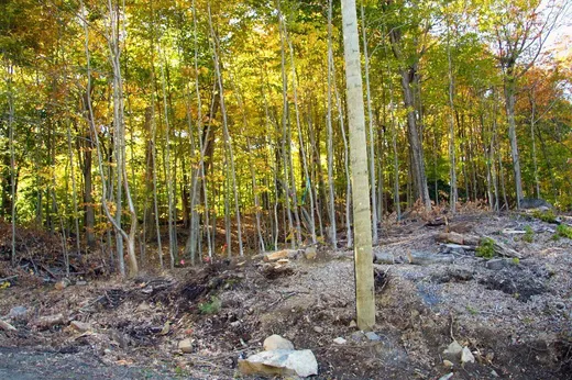 Terrain à vendre -  Rue du Promontoire, Sainte-Adèle, J8B 1A0