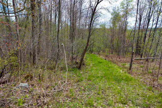 Terrain à vendre - Ch. de Capel Ch. de Capelton, Magog, J0B 2C0