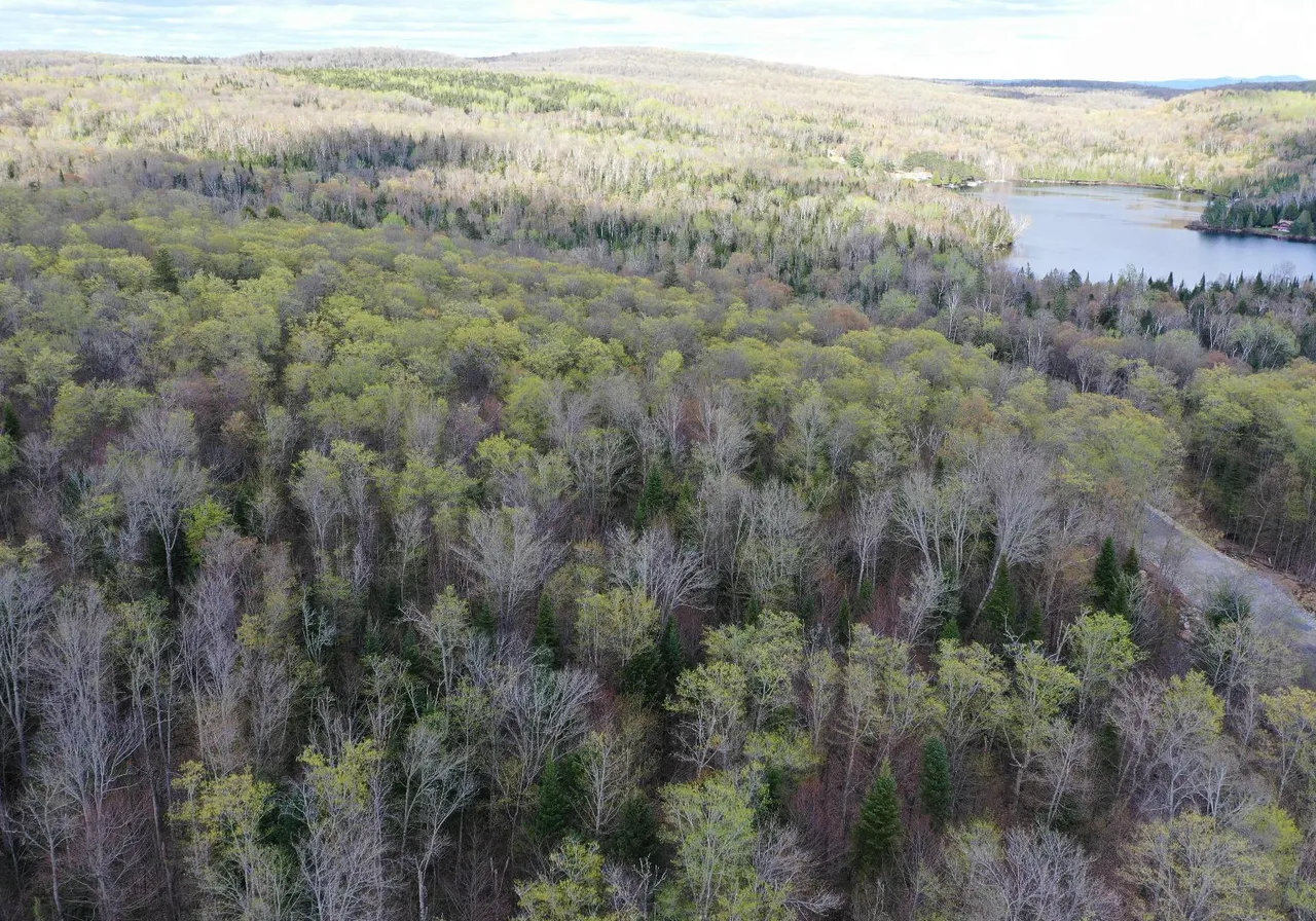 Terrain à vendre -  Ch. des Sternes, Nominingue, J0W 1R0