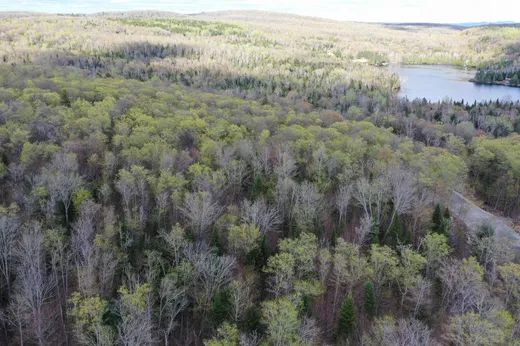 Terrain à vendre -  Ch. des Sternes, Nominingue, J0W1R0