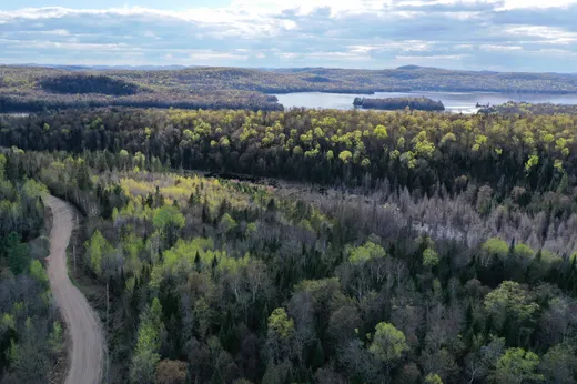 Terrain à vendre -  Ch. des Sternes, Nominingue, J0W 1R0