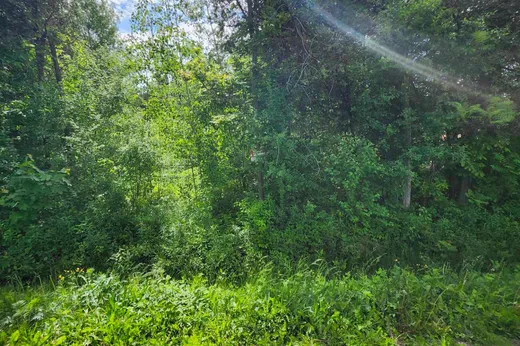 Terrain à vendre - 172 Mtée Richard, Saint-Jean-sur-Richelieu, J0J1V0