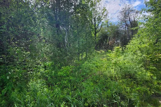 Terrain à vendre - 172 Mtée Richard, Saint-Jean-sur-Richelieu, J0J 1V0