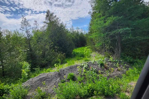 Terrain à vendre - 186 Mtée Richard, Saint-Jean-sur-Richelieu, J0J1V0