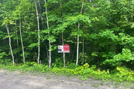 Terrain à vendre -  Rue du Faîte, Sainte-Adèle, J8B1M7