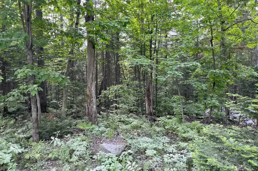 Terrain à vendre -  Ch. du Val-des-Monts, St-Adolphe d'Howard, J0T2B0