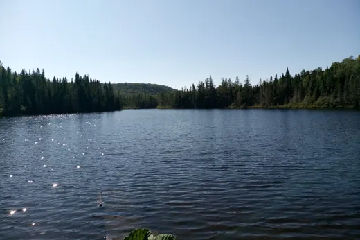 Terrain à vendre - 02 Ch. du Lac-d'Un-Mille, Ferland-Et-Boilleau, G0V 1H0