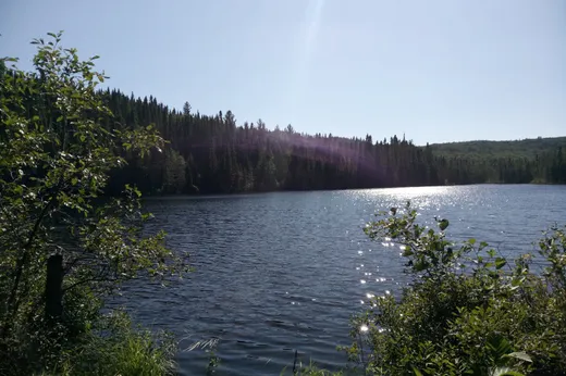 Terrain à vendre - 02 Ch. du Lac-d'Un-Mille, Ferland-Et-Boilleau, G0V 1H0