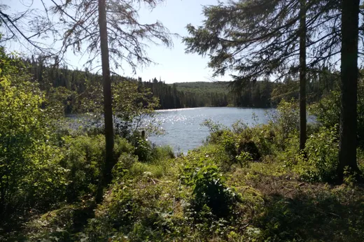 Terrain à vendre - 02 Ch. du Lac-d'Un-Mille, Ferland-Et-Boilleau, G0V 1H0