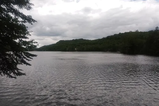 Terrain à vendre -  Route 323 N., St-Remi-D'Amherst, J0T 2L0