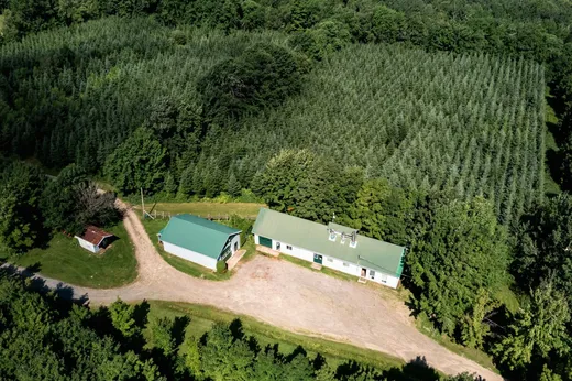 Terrain à vendre - 644Z 8e-et-9e Rang, Inverness, G0S1K0