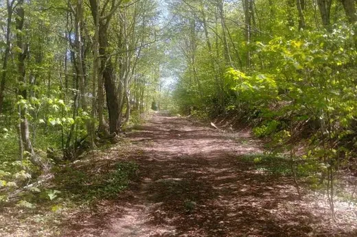 Land for Sale -  Ch. des Lilas, St-Adolphe d'Howard, J0T 2B0
