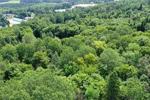 Terrain à vendre -  Ch. de l'Érablière, Rivière-Rouge, J0T 1T0