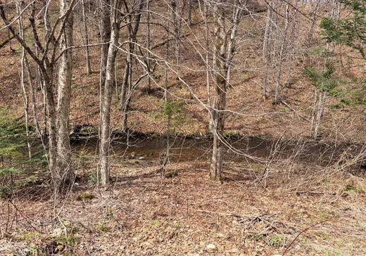 Terrain à vendre -  Ch. du Lac-Kiamika, Rivière-Rouge, J0T 1T0