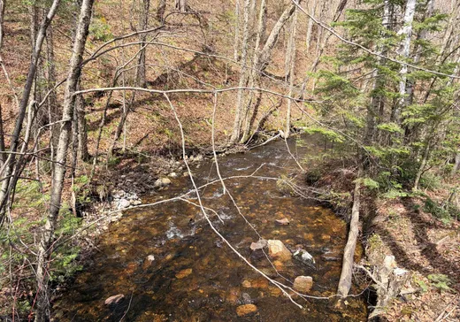 Terrain à vendre -  Ch. du Lac-Kiamika, Rivière-Rouge, J0T 1T0