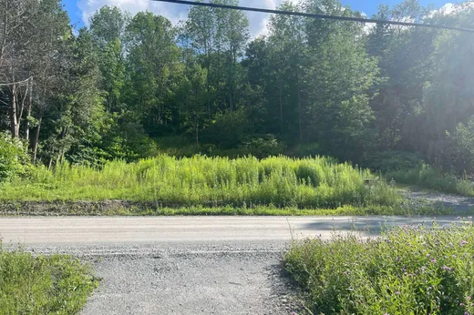 Land for sale - 9 Ch. de la Mine, Mansonville, J0E1X0