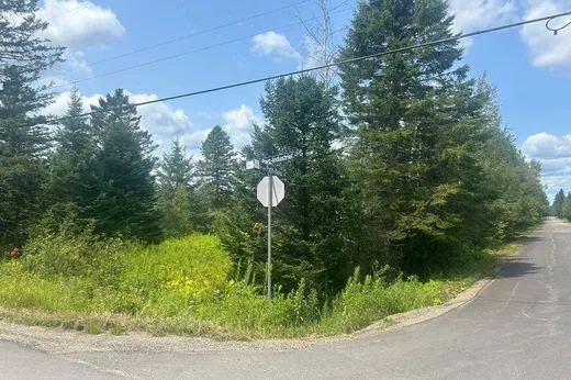 Terrain à vendre -  Rue du Parc-Industriel, Shawinigan, G9N 6T5