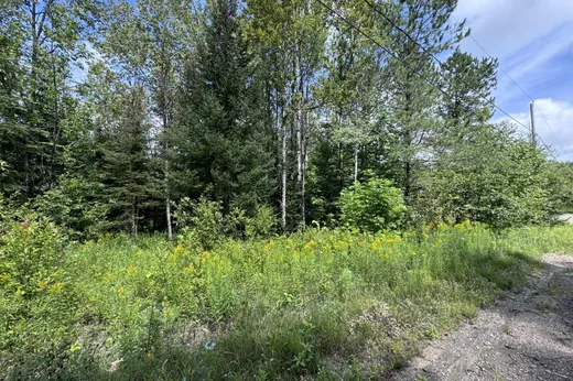 Terrain à vendre -  Rue des Goélands, Mont-Laurier, J9L0E4