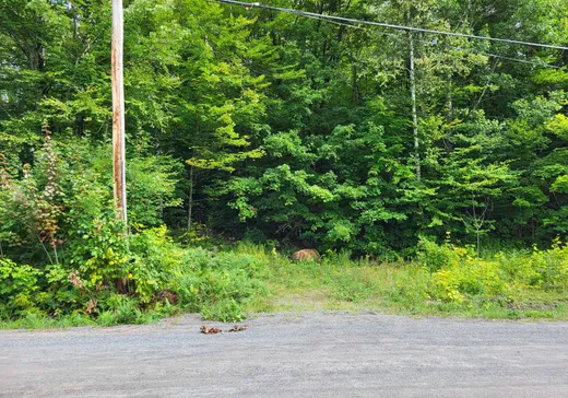 Terrain à vendre -  Rue du Lac-Clair, Sainte-Marguerite-du-Lac-Masson, J0T 1L0
