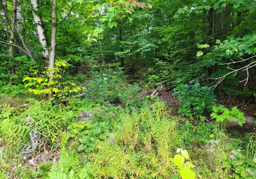 Land for Sale -  Rue du Lac-Clair, Sainte-Marguerite-du-Lac-Masson, J0T 1L0