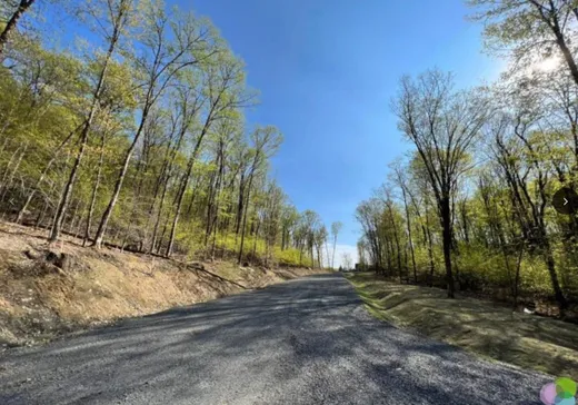 Terrain à vendre -  Rue Radieux, Sainte-Adèle, J8B 1A3