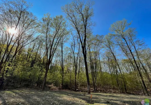 Terrain à vendre -  Rue Radieux, Sainte-Adèle, J8B 1A3