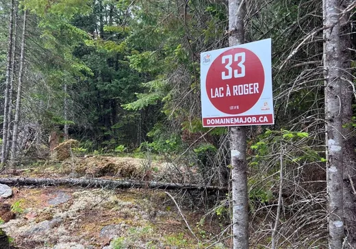 Terrain à vendre - 33 Ch. du Lac-à-Roger, Notre-Dame-de-Pontmain, J0W1S0