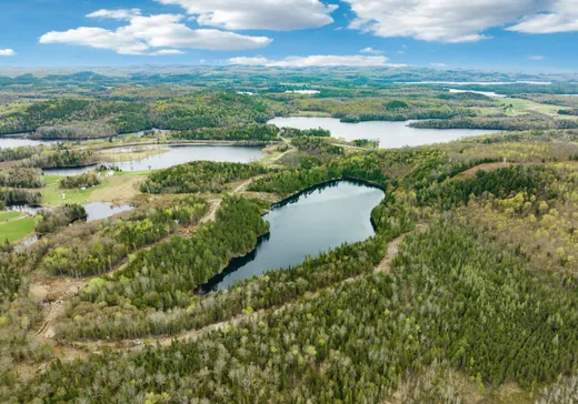 Terrain à vendre - 33 Ch. du Lac-à-Roger, Notre-Dame-de-Pontmain, J0W 1S0