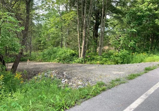 Land for sale -  Ch. de Vale Perkins, Mansonville, J0E1X0