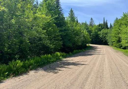 Terrain à vendre -  Rue du Capitaine, St-Come, J0K2B0