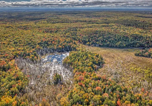 Terrain à vendre -  Grand rg Ste-Catherine, Saint-Cuthbert, J0K2C0