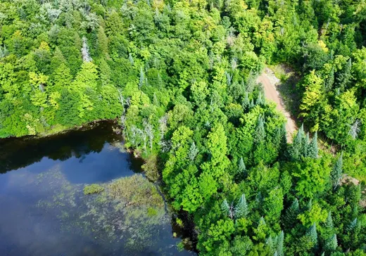 Terrain à vendre - S Mtée Jean-Marc, Gatineau, J0X 1Z0