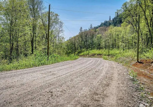 Terrain à vendre -  Ch. des Bêtes-Puantes, Trois-Rives, G0X 2C0