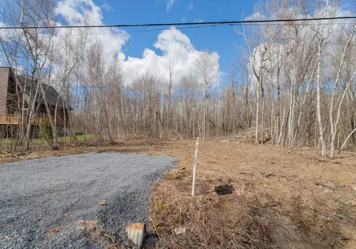 Terrain à vendre -  Rue Eugène, Saint-Paul-de-L'Île-aux-Noix, J0J 1G0