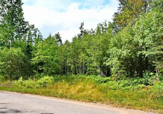 Terrain à vendre -  Rue du Nordet, Baie-Saint-Paul, G3Z 1B2