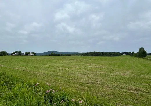 Terrain à vendre -  Ch. Beauparlant E., Saint-Damien, J0K 2E0