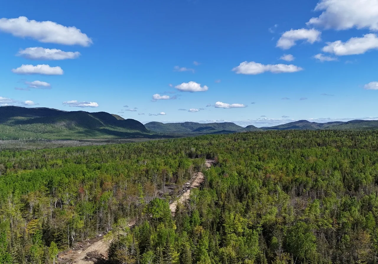 Terrain à vendre -  Rg Ste-Anne, La Malbaie, G5A 2L7